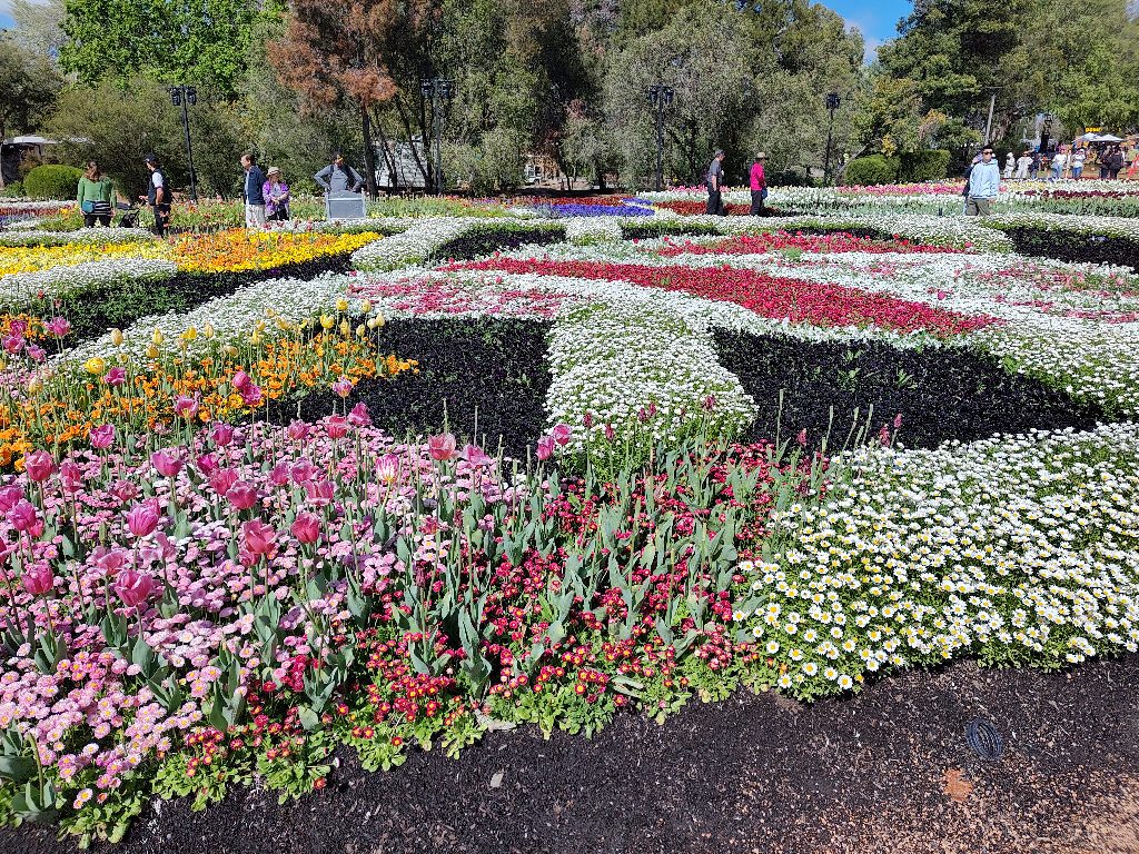 Pretty Flowers