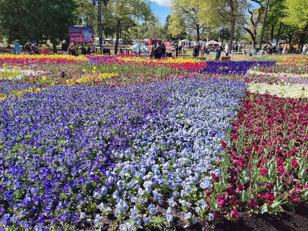 Pretty Flowers