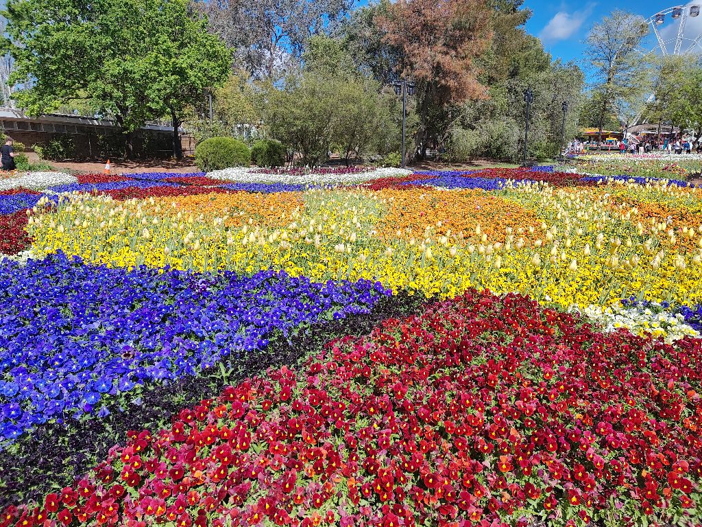 Pretty Flowers